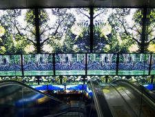 Maybe We Should Get Tattoos and Other Possibilities for Happiness photo