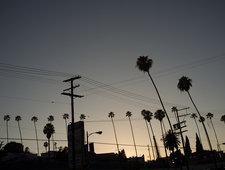 No Sand at the Beach photo