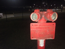 After We Lose Her photo