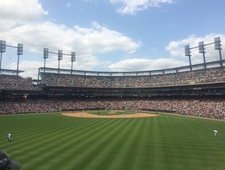 Dollar Dog Day photo