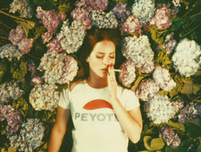 An Open Letter to Lana del Rey photo