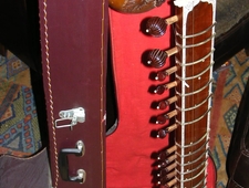 The Sitarist photo