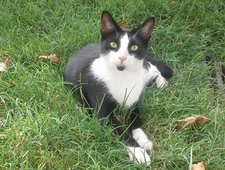 2 Self-Portrait Poems photo