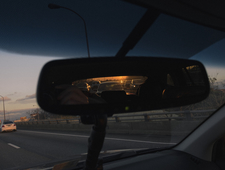 Take That, Linnaeus photo