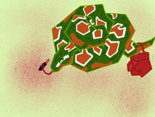 Year of Conor McGregor photo