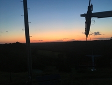 Hitchhiking Through Florida photo