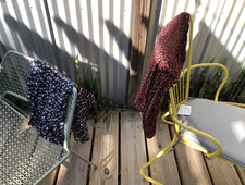 Where Is My Haka? photo