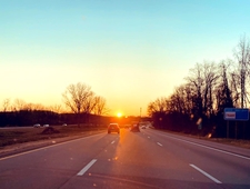 The Olive Theory photo