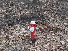 For I Have Sinned photo