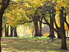 New to Running photo