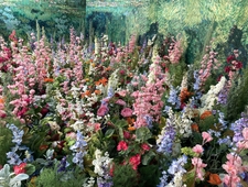 Through the Clinic, I Pass photo