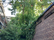 terror dream with love music photo