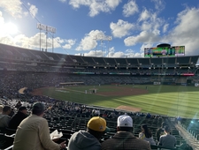Dispatches from the Treehouse: Dad Days of Summer photo