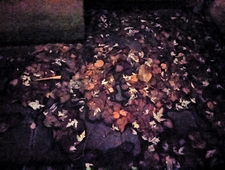 The Alcoholic Babysitter photo