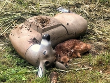 Ex ante, Ex post photo