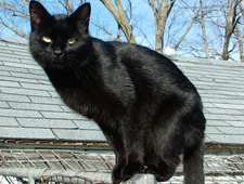 Let’s do this thing called life photo