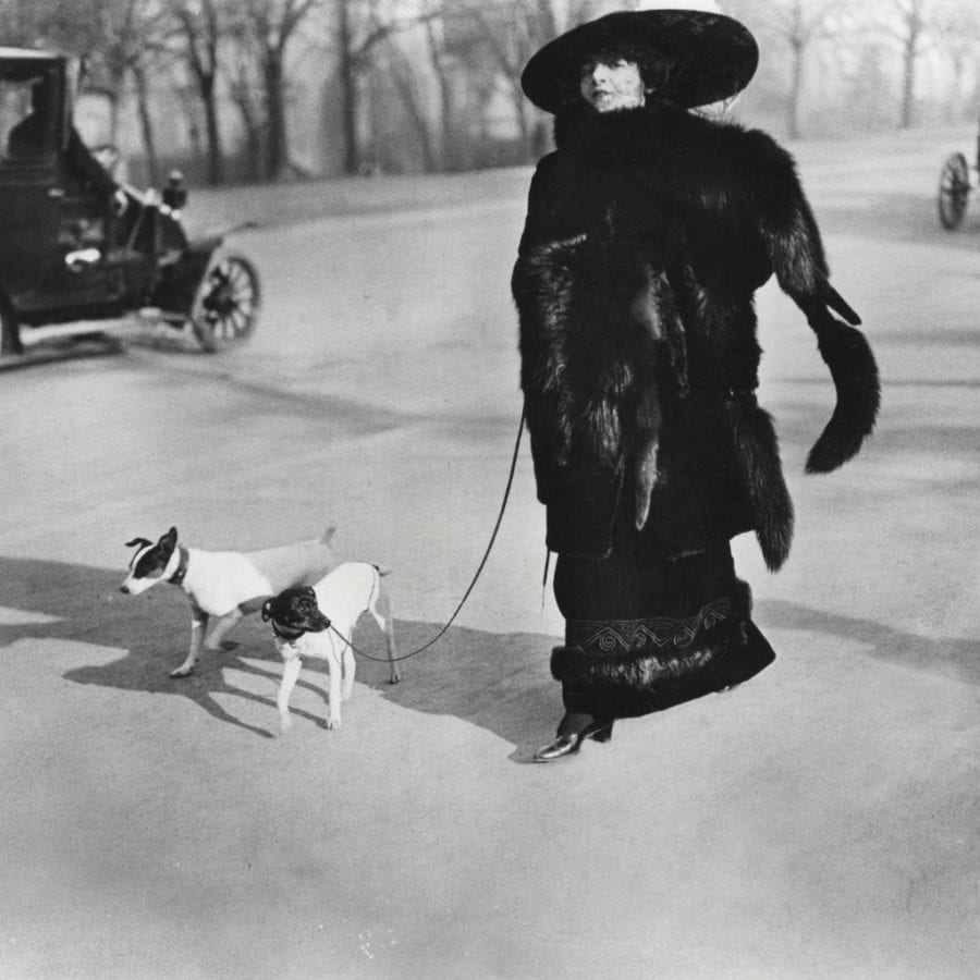 Jacques-Henri Lartigue, Woman With Fox Fur, Avenue Des Acacias