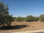 5200_w_mirandas_way-large