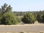 Img_5160-large