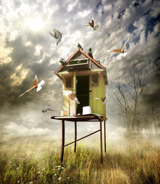 Large realistic style of bird house placed on a platform in a field with birds flying around. Yes, this image was edited extensively in a photo editor. Large realistic style of bird house placed on a platform in a field with birds flying around. Yes, this image was edited extensively in a photo editor.