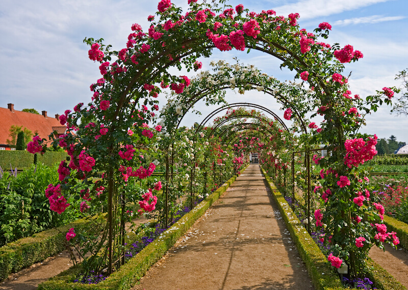 31 Backyard Arbor Designs and Ideas