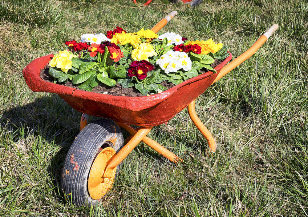 27 Wheelbarrow Flower Planter Ideas for Your Yard