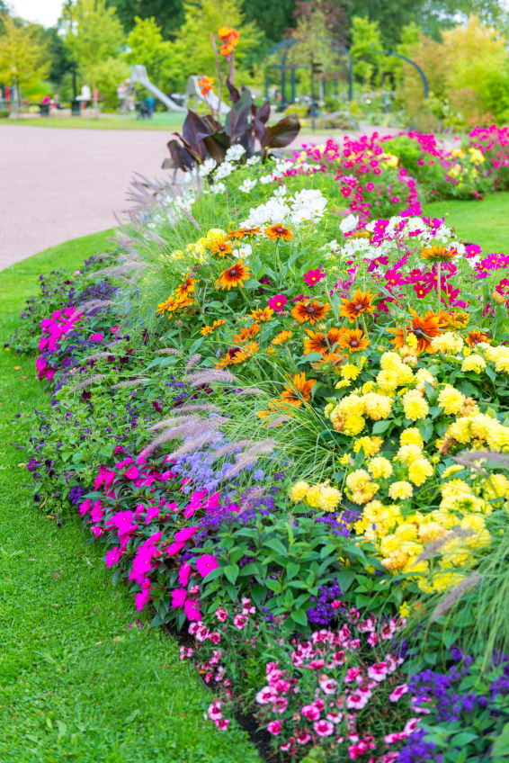 40 Colorful Garden Ideas (Color Explosion)