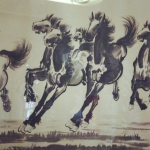 horses