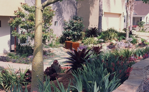Xeriscaps
