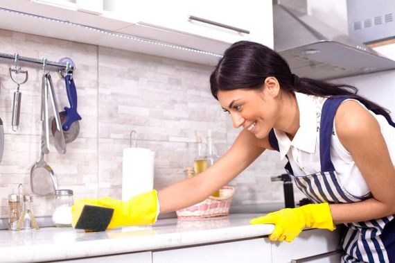 HOUSE CLEANING SERVICES  DES PLAINES IL