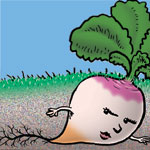 Taproots