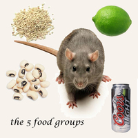 Rats-and-beans