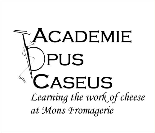 Aoc_mons_square_smaller