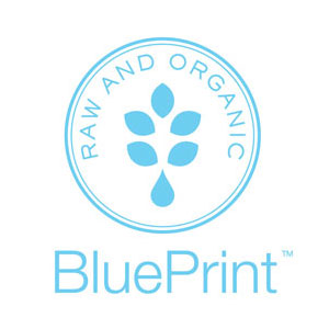 Blueprint-300x300