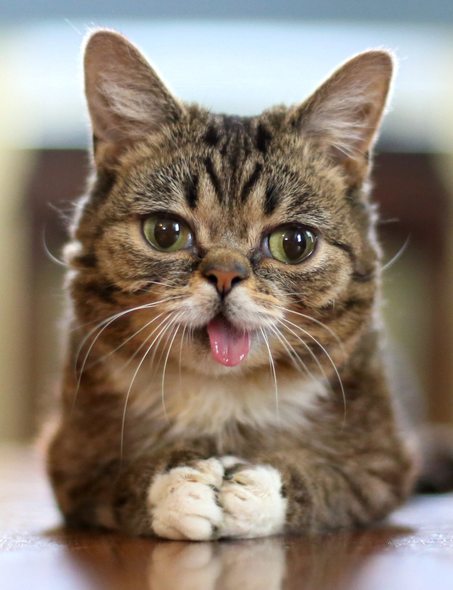 bub