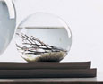 Self-Sustaining EcoSphere