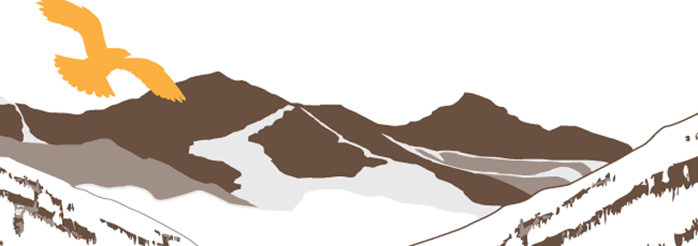 MI-AboutReports