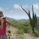 Big_aruba_2