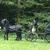 Mid_trouwen4