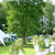 Mid_landgoedhunderen_4