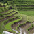 Mid_bali222_breugelmans_09