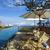 Mid_dsc02310_(2)