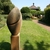 Mid_bokkesprong_trouwen