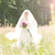 Mid_anneliesboschfotografie_9