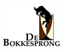 Large_bokkesprong_logo
