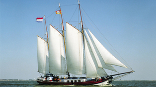 Small_naupar_frisiusvanadel