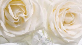 Small_corsage2