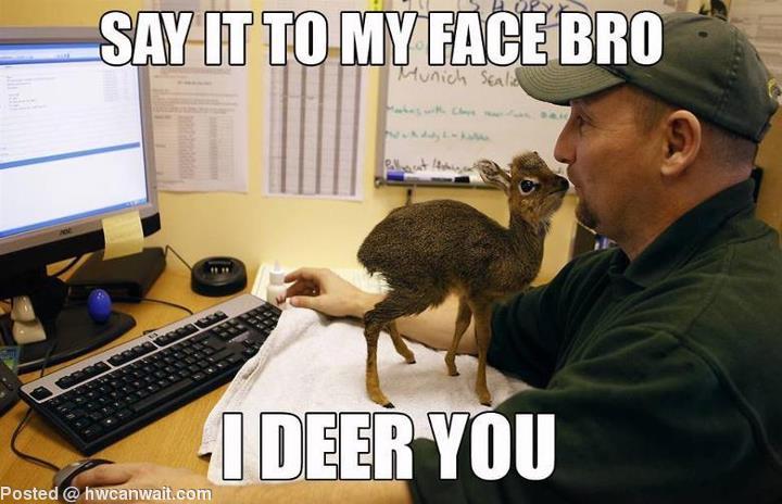 I deer you