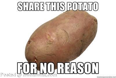 Potato