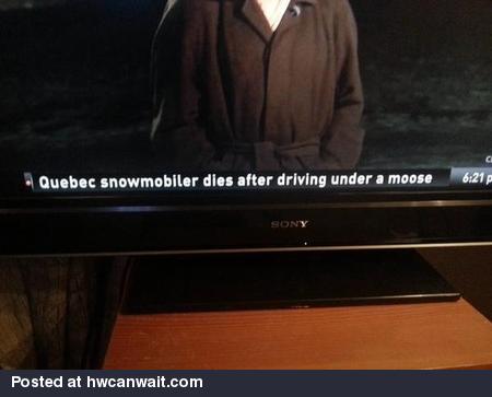 Most Canadian headline ever